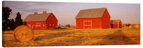 Canvas print Red barns on a farm