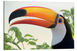 Tableau en aluminium Toucan géant de profil