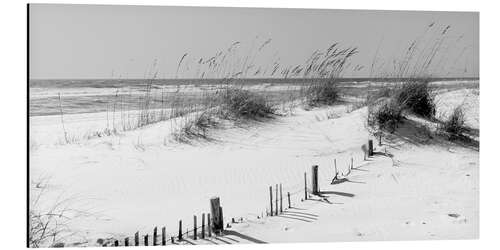 Aluminium print Grasses on the beach