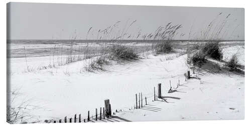 Canvas print Grasses on the beach