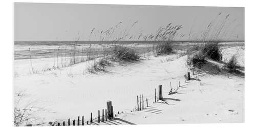 PVC-tavla Grasses on the beach