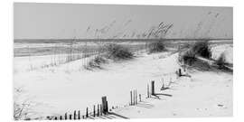 Foam board print Grasses on the beach