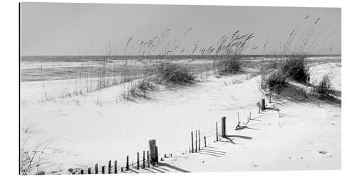 Gallery print Grasses on the beach