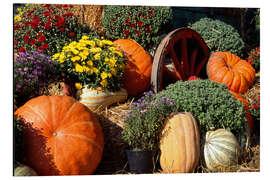 Aluminium print Autumn Garden