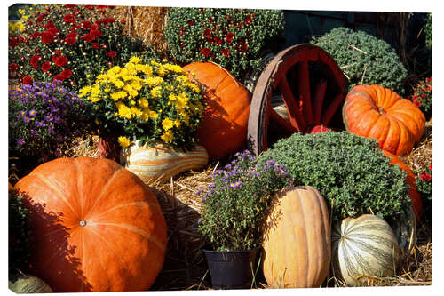 Canvas print Autumn Garden