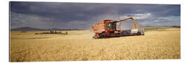 Gallery print Combine harvester on a field at Palouse