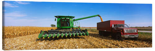 Lerretsbilde Combine harvests corn on a truck