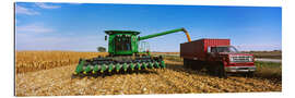 Gallery print Combine harvests corn on a truck