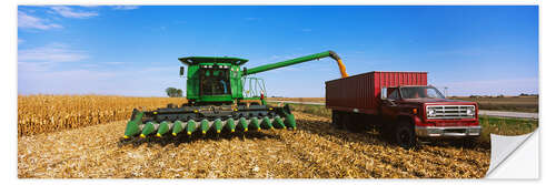 Selvklebende plakat Combine harvests corn on a truck