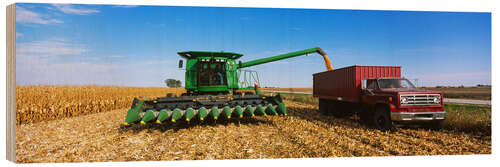 Puutaulu Combine harvests corn on a truck