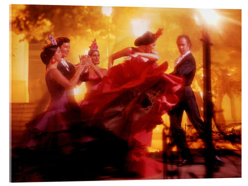 Cuadro de metacrilato Flamenco ardiente