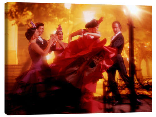 Canvas print Fiery flamenco