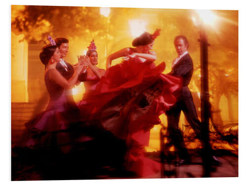 Foam board print Fiery flamenco