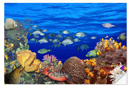 Selvklebende plakat School of fish on a reef