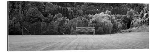 Galleritryk Football field in the country