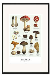 Gerahmter Kunstdruck Pilze (Schwedisch)