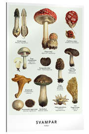 Gallery print Mushrooms (Swedish)