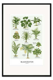Gerahmter Kunstdruck Blattpflanzen (Schwedisch)