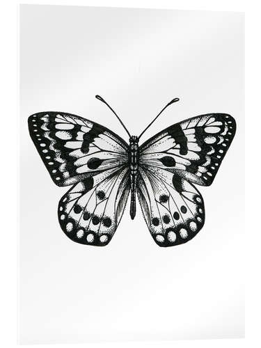 Acrylic print Butterfly