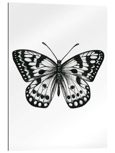 Gallery Print Schmetterling