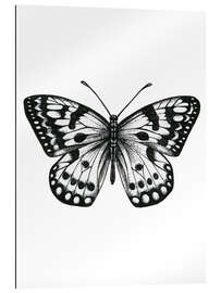 Gallery print Butterfly