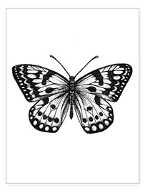 Póster Mariposa en blanco y negro