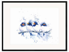 Framed art print Swallows rest