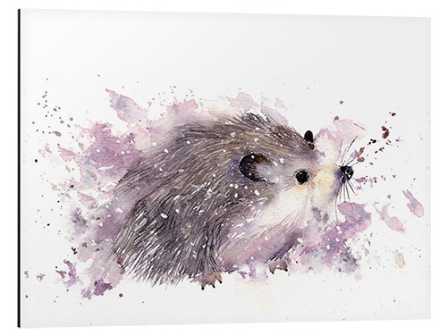 Aluminium print Little hedgehog