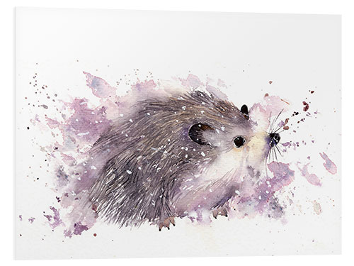 Foam board print Little hedgehog