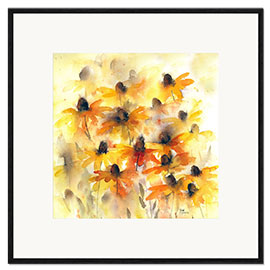 Innrammet kunsttrykk Echinacea