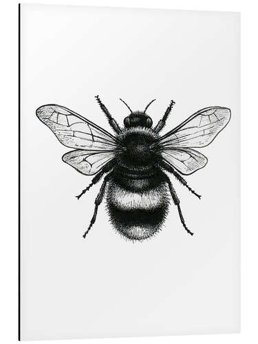 Aluminium print Bumblebee