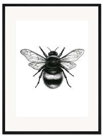 Gerahmter Kunstdruck Hummel