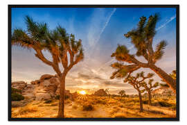 Gerahmter Kunstdruck Sonnenuntergang im Joshua Tree National Park