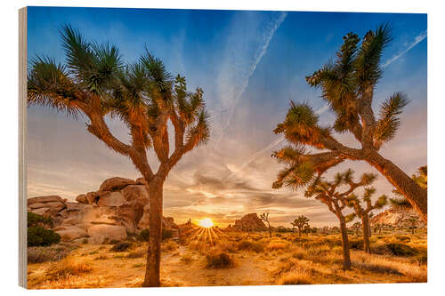 Holzbild Sonnenuntergang im Joshua Tree National Park