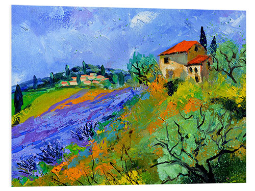 Foam board print Provence, July 2008