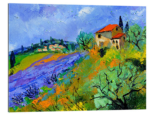 Gallery print Provence, July 2008