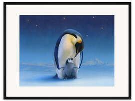 Gerahmter Kunstdruck Pinguine bei Nacht