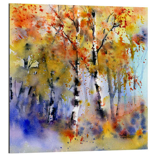 Obraz na aluminium Birch forest in autumn