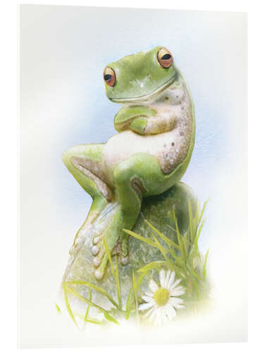 Acrylglasbild Frosch, wartend