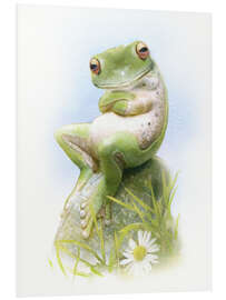 Foam board print Frog, waiting