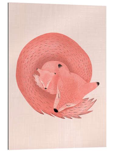 Galleriprint Sleeping foxes