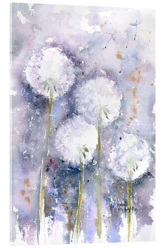 Tableau en verre acrylique Pissenlits dans le vent