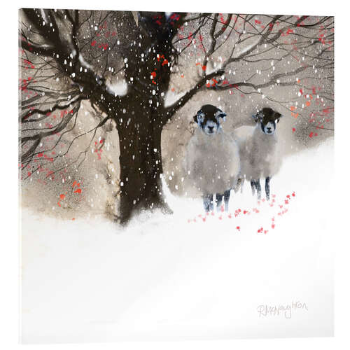 Acrylic print Winter sheep