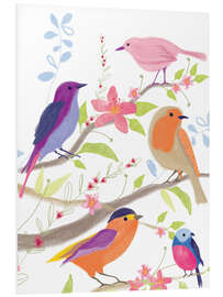 Foam board print Colorful birds