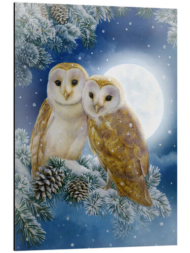 Aluminium print Snow owl couple