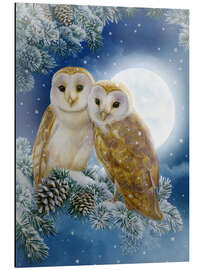 Aluminiumtavla Snow owl couple