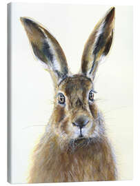 Canvas print  Wild hare - Sarah Stoker