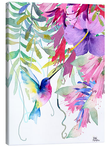 Canvas print Hummingbird in the Hanging Garden