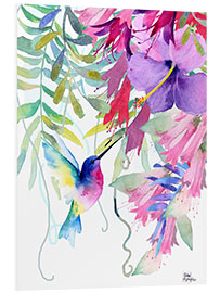 Foam board print Hummingbird in the Hanging Garden