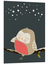 Foam board print Sleeping owl